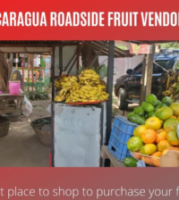 fruit-market-vendor